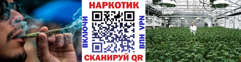 МАРИХУАНА Королёв